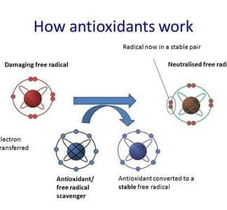 Antioxidants