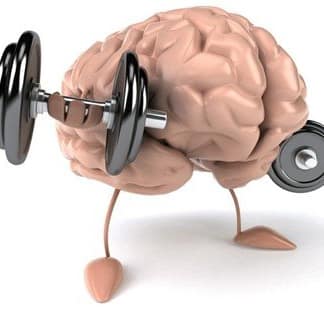 Brain