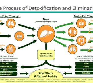 Detoxification