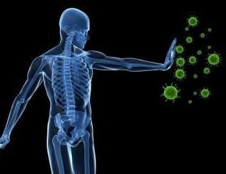Immune Support