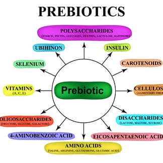 Prebiotics