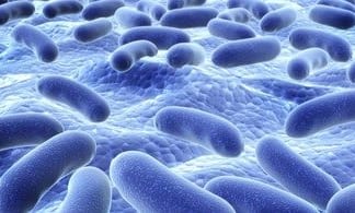 Probiotics
