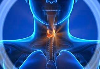 Thyroid Health