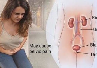 Urinary Health